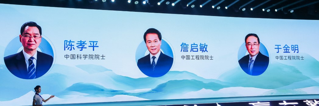 ny18_174843.jpg ga5.jpg