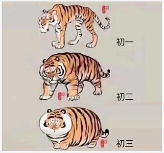 h1.jpg