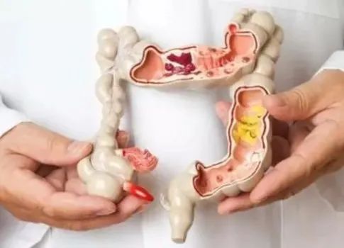 ny30_180554.jpg ny30_180554.jpg