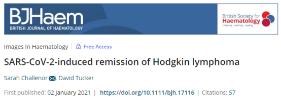 ny14_810479.png b2.png