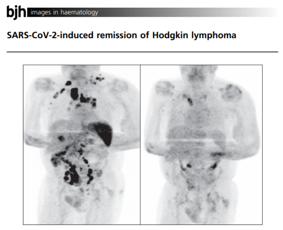 ny14_694708.png b3.png