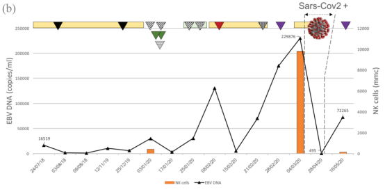 ny14_343429.png b5.png