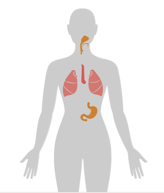 ny20_661431.png n6.png