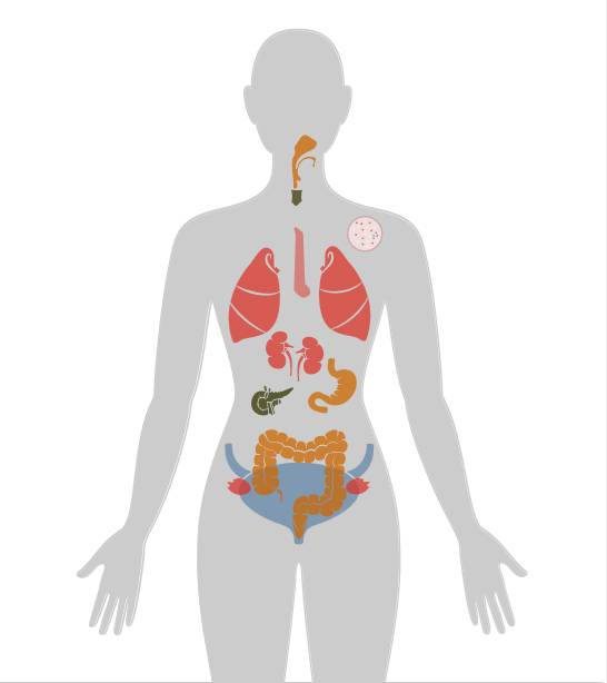 ny20_686224.jpg n9.jpg