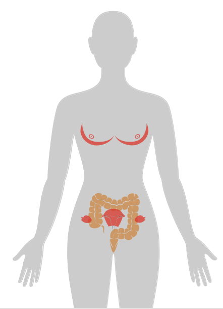 ny20_279343.png n21.png