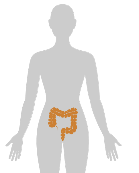 ny20_778397.png n7.png