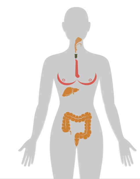 ny20_184479.png n2.png