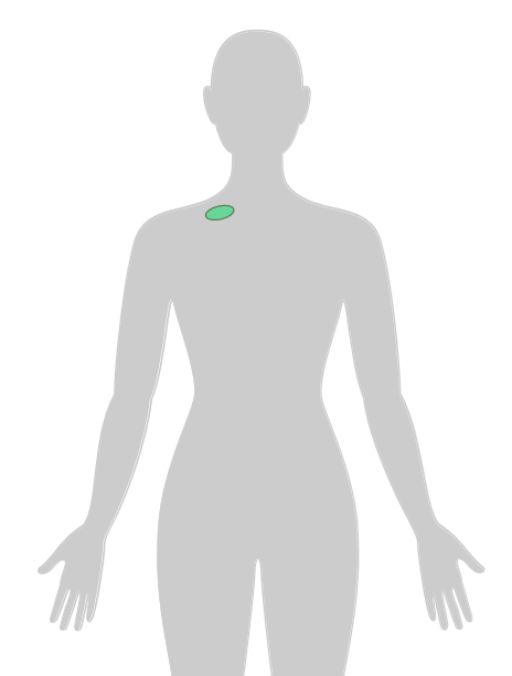 ny20_922637.png n19.png