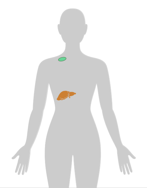 ny20_881435.png n18.png