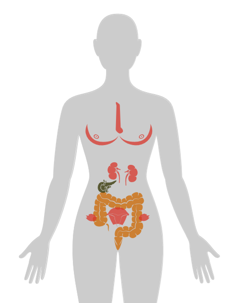 ny20_891127.png n12.png