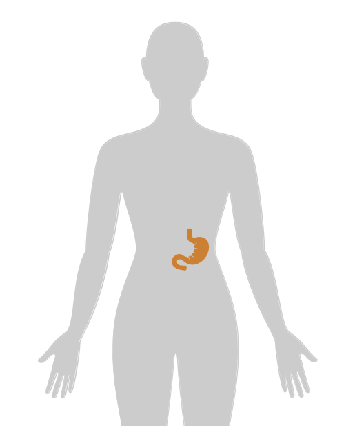 ny20_532339.png n5.png