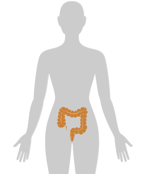 ny20_848362.png n3.png