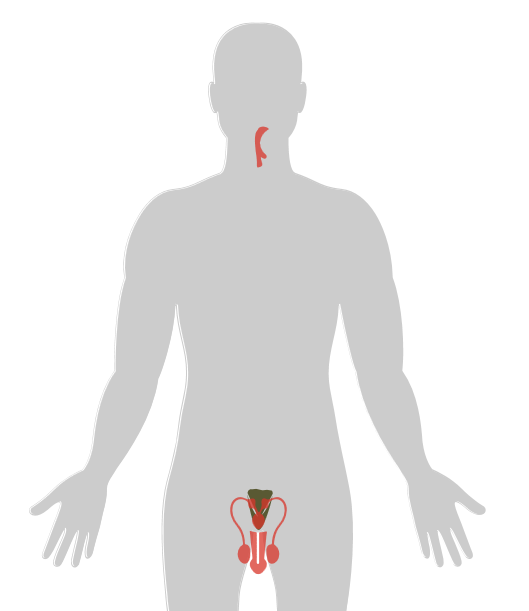 ny20_866612.png n15.png