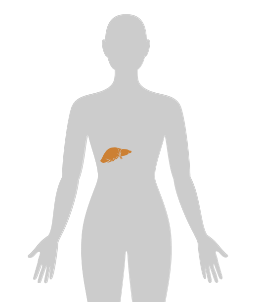 ny20_945468.png n17.png