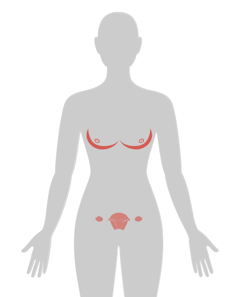 ny20_474794.png n20.png