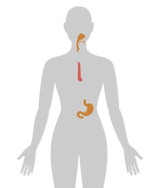 ny20_290185.jpg n8.jpg