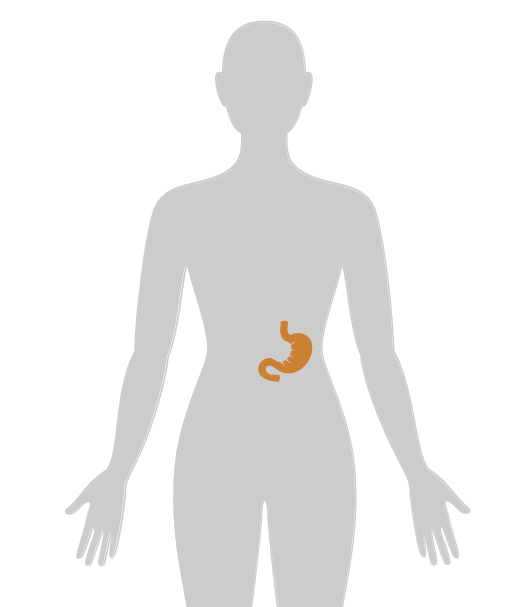 ny20_416736.png n16.png