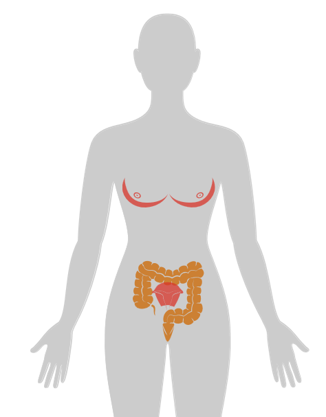 ny20_594250.png n11.png