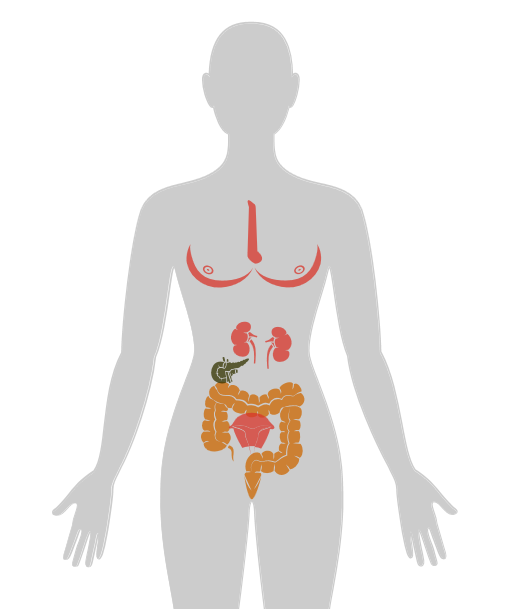 ny20_320152.png n13.png