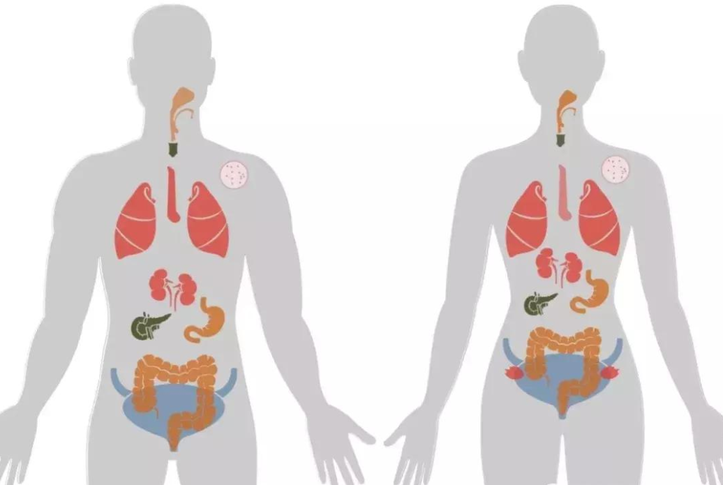 ny20_906310.png ny20_906310.png