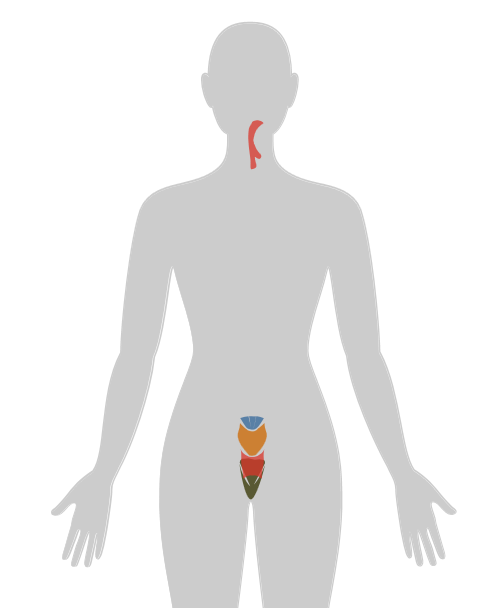 ny20_731864.png n14.png