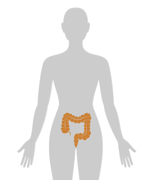 ny20_477221.png n4.png