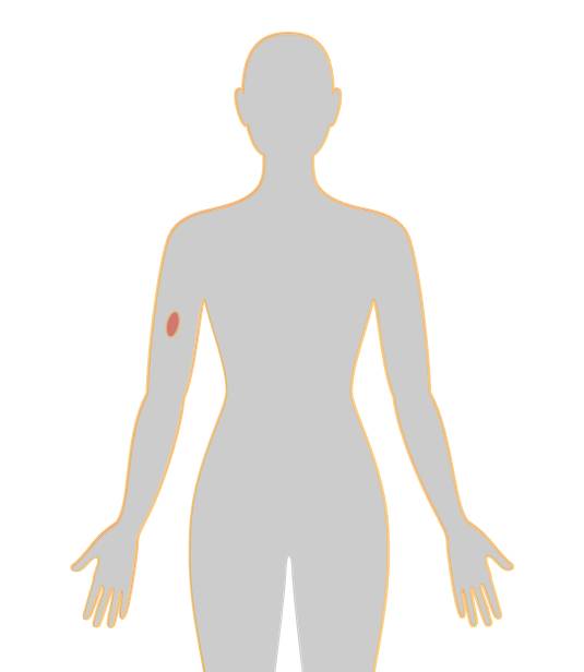 ny20_426957.jpg n10.jpg