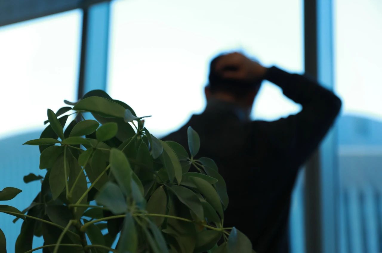 ny19_364657.jpg ny19_364657.jpg