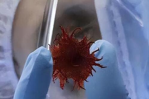 ny05_921247.jpg ny05_921247.jpg